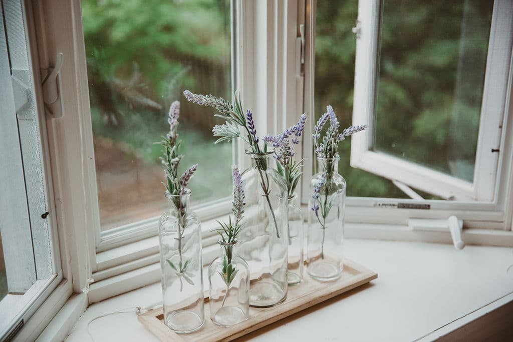 Vases of lavender in the window overlooking the shade garden