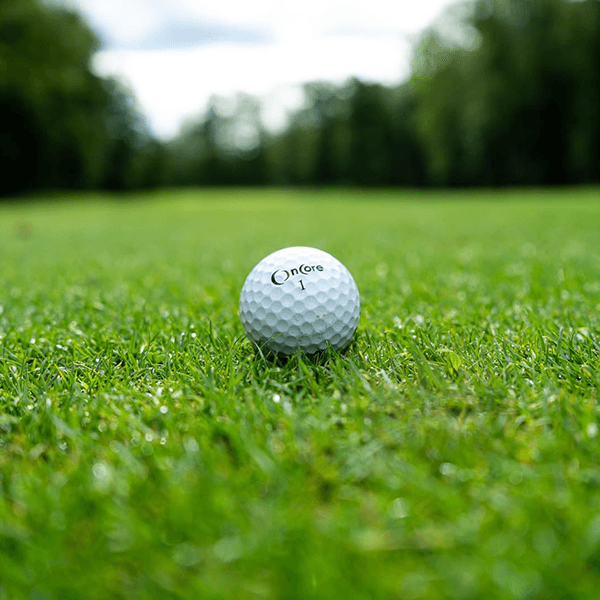 A golf ball rests on lush green grass under a bright sky.