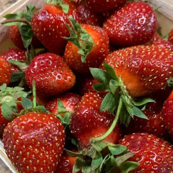 A close-up of fresh, red strawberries in a container.