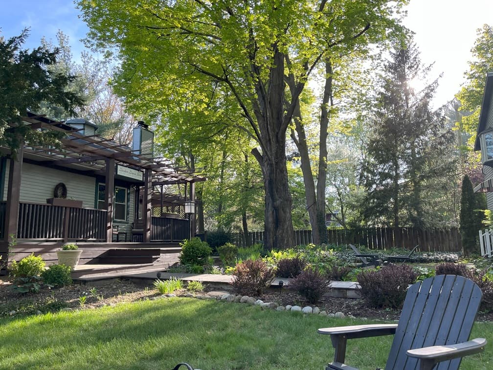 A sunny backyard features a wooden deck surrounded by lush greenery and a cozy chair.