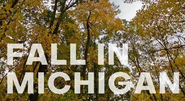 Fall in Michigan