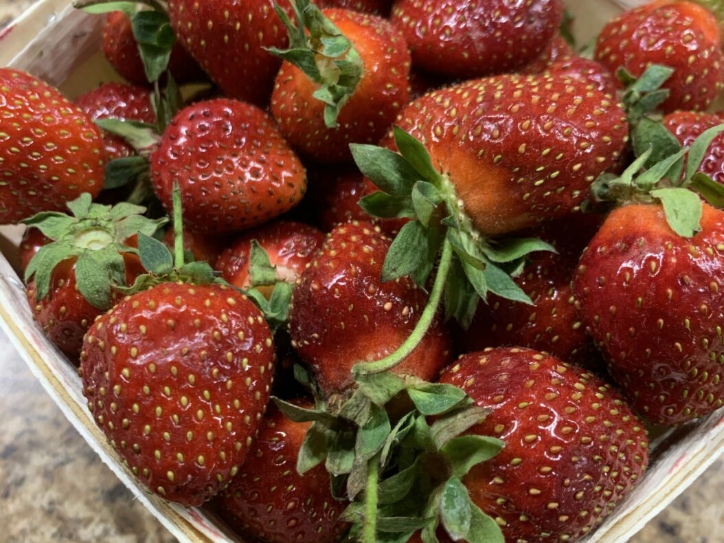 Basket of fresh local strawberries